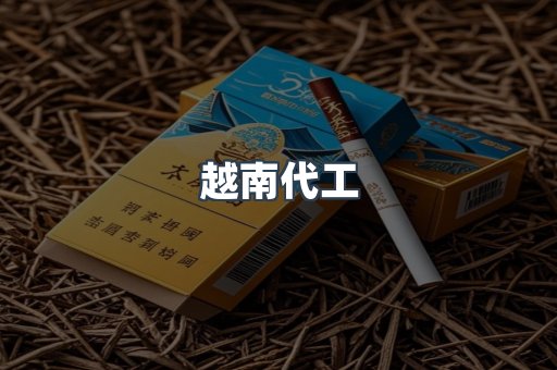越南代工